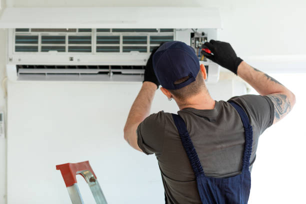 Best Air Duct Mold Removal  in Sterling Ranch, CO