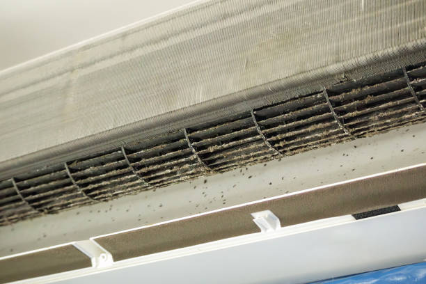 Best Air Duct Cleaning Near Me  in Sterling Ranch, CO